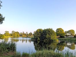 Trout lake view