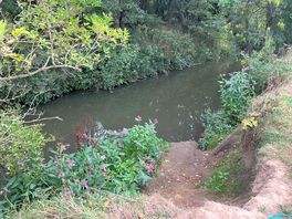 Riverbank behind our pitch