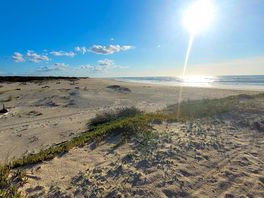 Path to beach