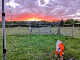 Stunning sun set