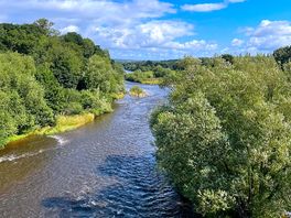 Wye