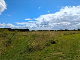 Entrance to the camping field, with paths between the wilded area
