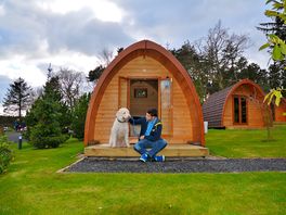 Dog-friendly glamping