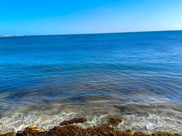 Vue directe sur la mer