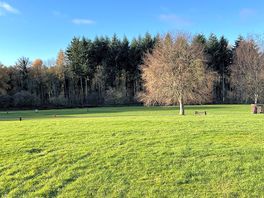 Beautiful morning at bracelands