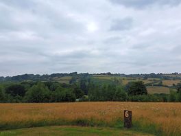 View from the meadow