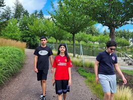 Walking track