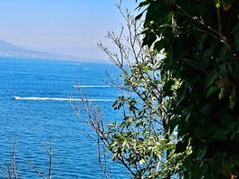 Aussicht