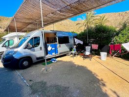 Good balance of sun and shade