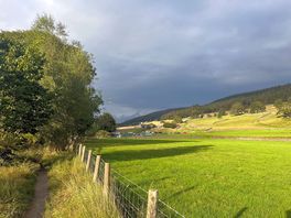 Pasture pitches