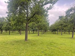 Beautiful walks