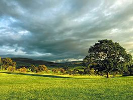 As a storm came in and evening set in.