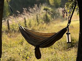 Hammock