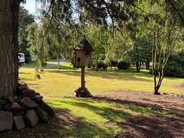 The area around