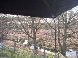 View from tentbox