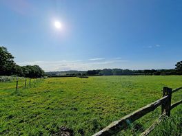 View towards the fields of sheep.