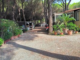 Vu sur une allée mobil-home