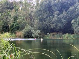 Lake early morning