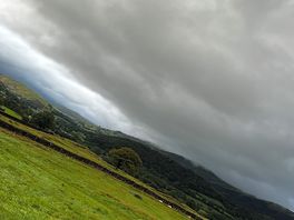 The view