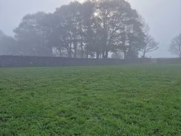 Sunrise through the morning mist