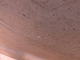 Wear and tear holes near the head of the double bed.