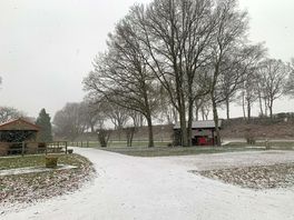 Washroom and waste disposal close to pitches