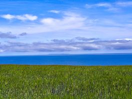 View of lundy
