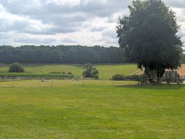View from our vw van