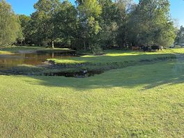 Perfect view
