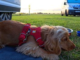 Sunset chilling