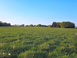 Amazing walks