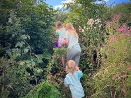 My little adventurers loved it here.