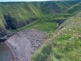 Cove only 1 min walk away