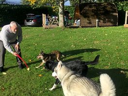 Loki and treacle having fun with julian. they loved their time at the pod