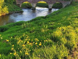 Bridge over severn