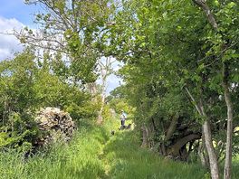 Walking trail near high casterton