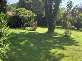 View into site