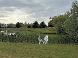 Fishing lake view