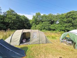 Two tents and an event shelter in a hay meadow pitch.
