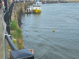 Whitby