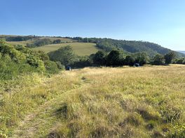 View of the campsite from up the hill
