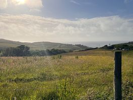 The picnic view