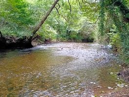 River avon