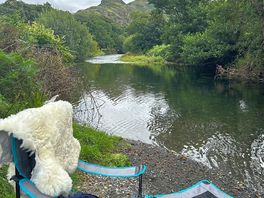 Time for a dip