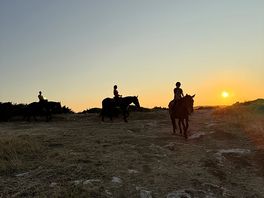 Passeggiata a cavallo