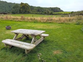 Our pitch