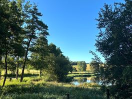 Lake view