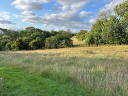 Walk from the site into the wooded gully area