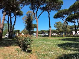 View of the pitches