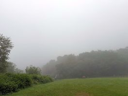Foggy day